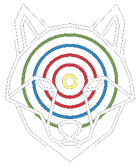 Okami Vision mark