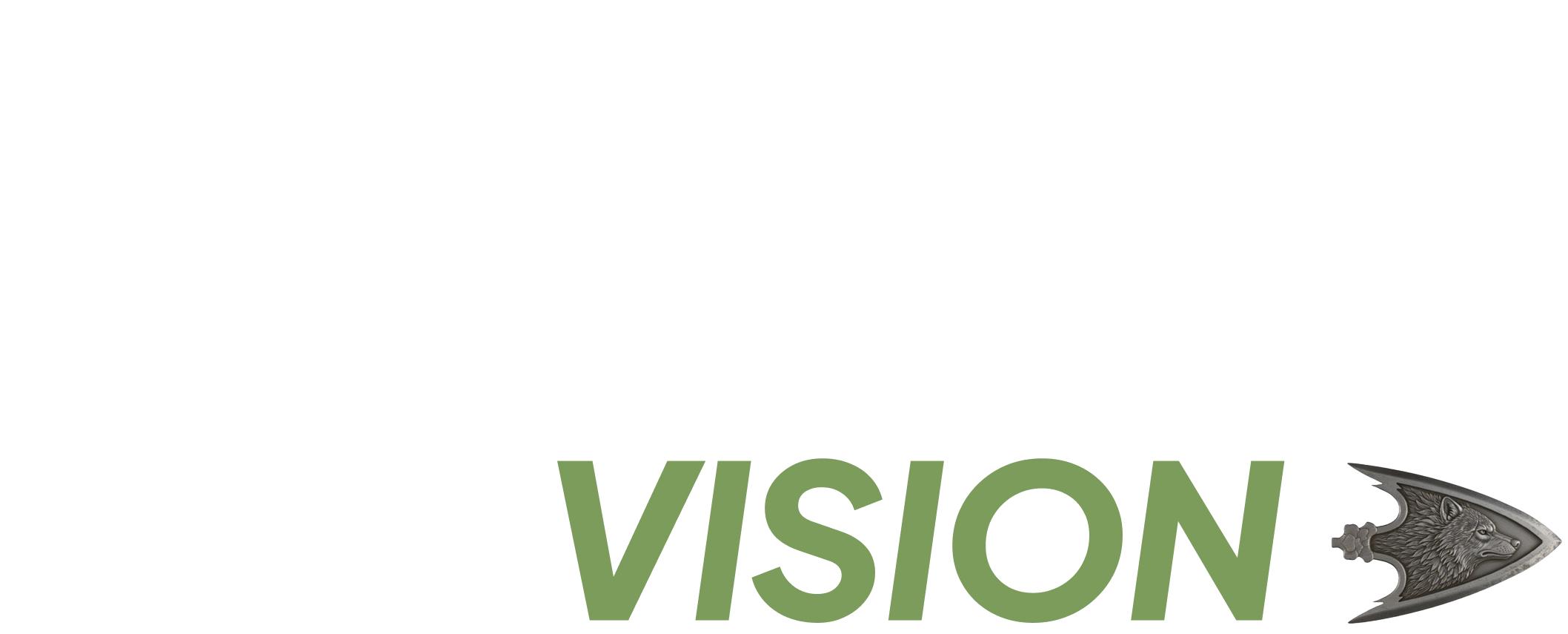 Okami Vision wordmark